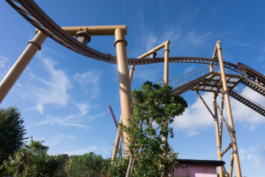 Flight of the Pterosaur