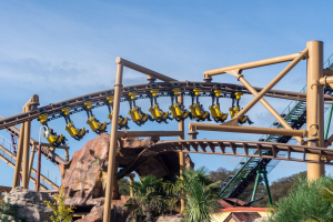 Flight of the Pterosaur