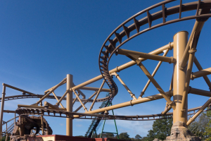 Flight of the Pterosaur