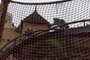 Black Mamba • B&M Inverted Coaster