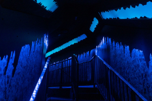 Crazy Bats • Vekoma MK900