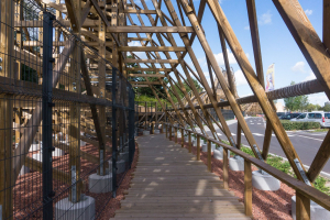 Heidi • GCI Wooden Coaster