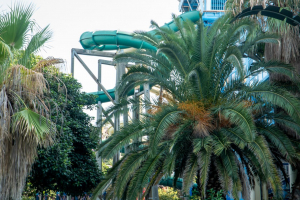 El Tifón • Proslide Pipeline • Port Aventura Caribe Aquatic