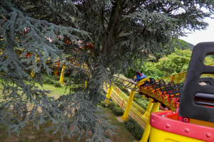 Potts-Blitz • Zierer Force Two