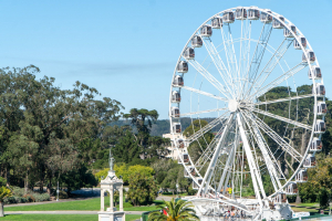 Golden Gate Park