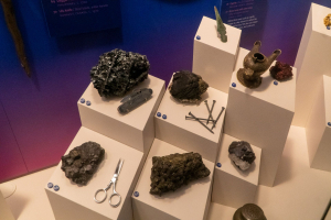 California Academy of Sciences