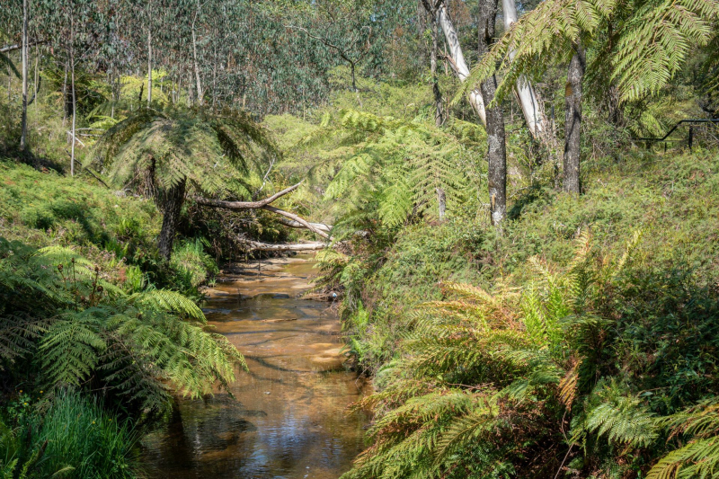 Blue Mountains
