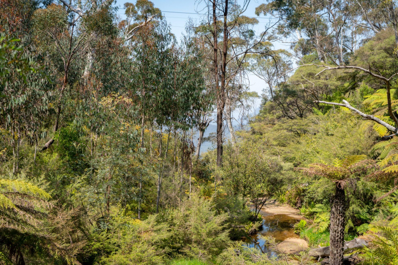 Blue Mountains