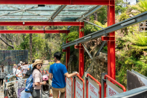 Scenic Railway • Interlink Funicular