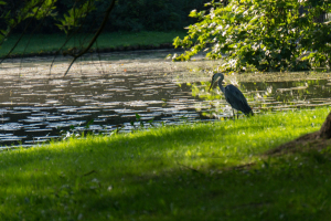 Schwerin