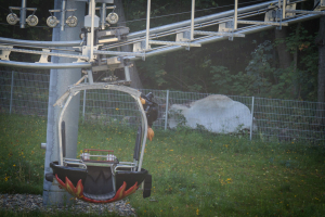 Boderitt • Wiegand Wie-Hex