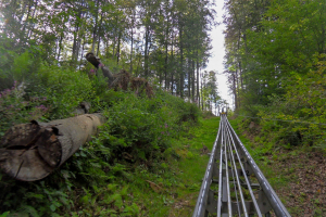 Harzbob • Wiegand Alpine Coaster