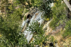 Sequoia National Forest
