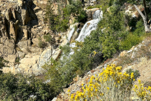 Sequoia National Forest