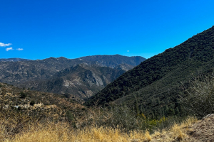 Sequoia National Forest