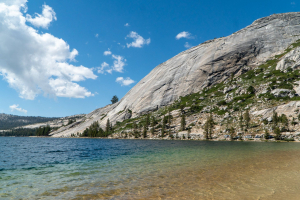 Yosemite National Park