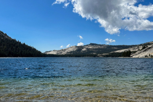 Yosemite National Park