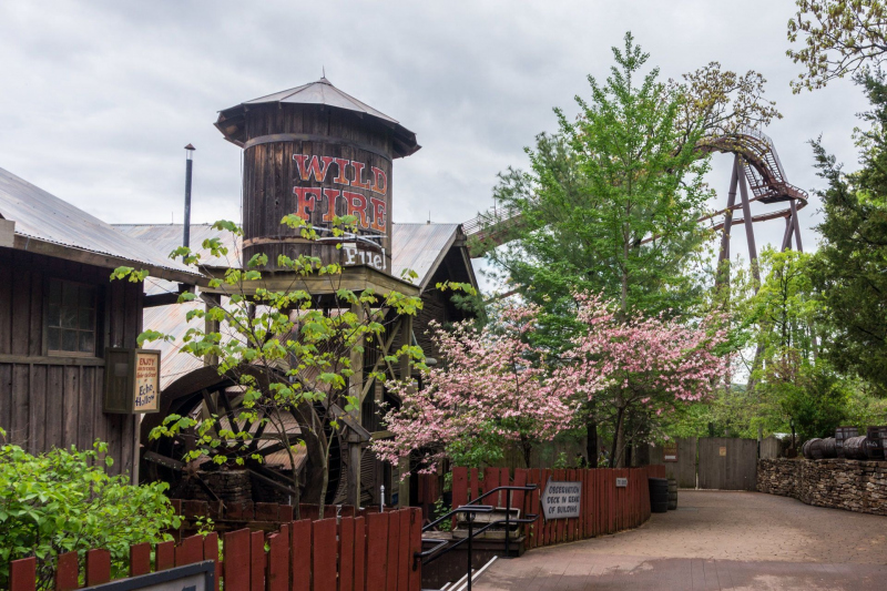 Wildfire • B&M Sitting Coaster