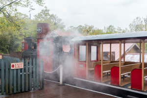 Frisco Silver Dollar Line Steam Train