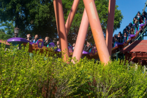 Boomerang Coast to Coaster • Vekoma Boomerang