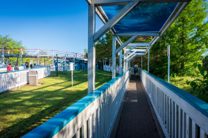 Judge Roy Scream • William Cobb Wooden Coaster