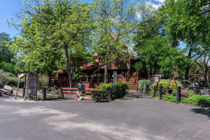 Runaway Mine Train • Arrow Mine Train