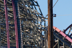 New Texas Giant • RMC IBox Track