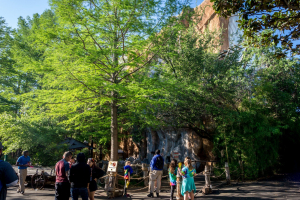 Runaway Mountain • Premier Rides Indoor Coaster