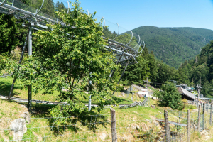 Alpine Coaster