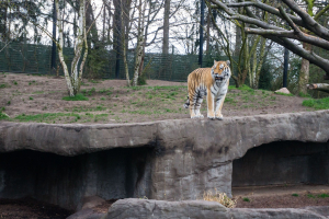 Tierpark Hagenbeck