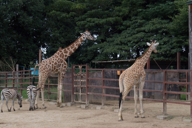 Tobu Zoo Park