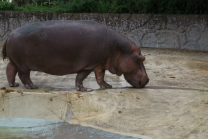 Tobu Zoo Park