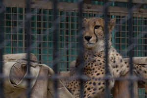 Tobu Zoo Park