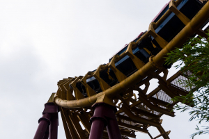 Cobra • Vekoma Boomerang
