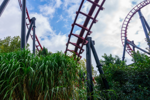 Vampire • Vekoma Suspended Looping Coaster