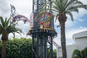 Batwing Spaceshot • S&S Space Shot