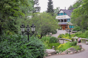 Wildpark Schwarze Berge