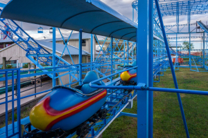 Cyclone • Miler Manufacturing Wild Mouse