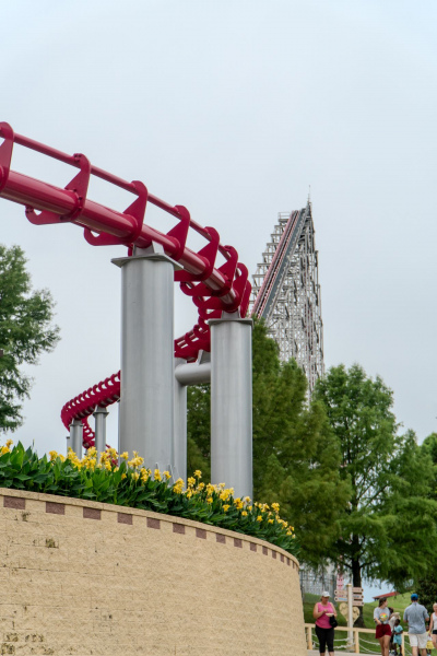 Mamba