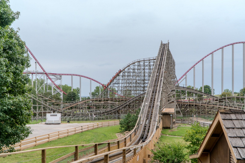 Timber Wolf