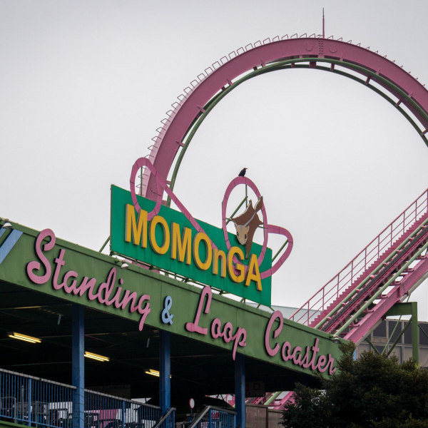 Momonga Standing and Loop Coaster