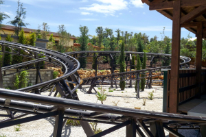 Buffalo Coaster