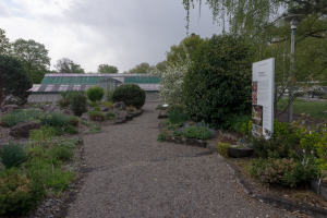 Sukkulenten-Sammlung